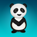 Animal, panda, bear DarkTurquoise icon