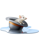 rat, chapeau, pool, hat, eau, souris, Animal, water, Mouse Black icon