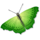Animal, insect, butterfly Black icon