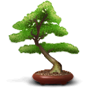 Baobab DarkOliveGreen icon