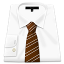 Tie, Shirt, Brown WhiteSmoke icon
