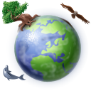 globe, internet, global, Browser, planet, world, earth, international LightSteelBlue icon