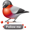 bird, Animal, twitter, bullfinch Black icon