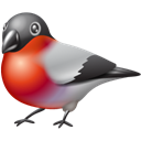 twitter, bird, bullfinch, Animal Black icon