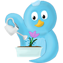 bird, twitter, spring, Flower SkyBlue icon