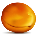 Fruit, Apricot Chocolate icon