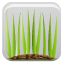 grass, button, 23 LightGray icon