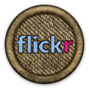 flickr DarkOliveGreen icon