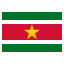 Suriname ForestGreen icon
