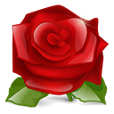 lilly flower, rose, nature, red, Flower, plant DarkRed icon