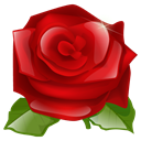 lilly flower, red, rose, plant, nature, Flower DarkRed icon