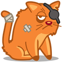 Cat, pirate Coral icon
