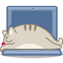 Laptop, Cat SlateGray icon