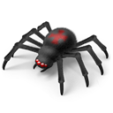 crisp, pet, insects, halloween, insectoid, network, spooky, internet, poison, spider, Terror, monster, murder, web, net, insect, Animal, ladybird, horror, Animals Black icon