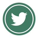 bird, twitter, Social, tweet SeaGreen icon