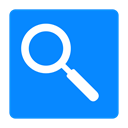 zoom, view, search DodgerBlue icon