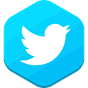 social network, twitter DeepSkyBlue icon