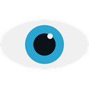 search, Find, view, Eye, see WhiteSmoke icon