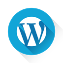 Wp, Wordpress DarkTurquoise icon