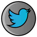 media, social media, Social, twitter, bird, hayal Gray icon