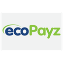 payment, pay, checkout, financial, Cash, ecopayz, donation, buy, card, credit, Business, Finance WhiteSmoke icon