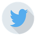 Social, twitter Lavender icon