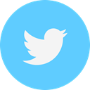 Logo, twitter LightSkyBlue icon