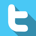Logo, twitter MediumTurquoise icon