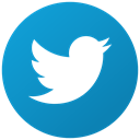 tweet, Social, twitter, bird LightSeaGreen icon