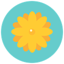 flowers, Aroma, nature, daisy, blossom, Flower MediumTurquoise icon