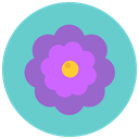 Flower, blossom, Aroma, nature, flowers MediumTurquoise icon