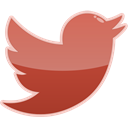 bird, media, twitter, Social IndianRed icon