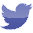 media, bird, twitter, Social LightSlateGray icon