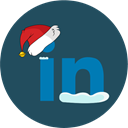 Linkedin, Snow, christmas, Social DarkSlateGray icon
