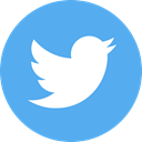 Logo, twitter, media, network, Circle, Social, share CornflowerBlue icon