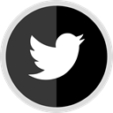 online, Logo, twitter, Social, media DarkSlateGray icon