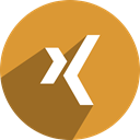 Direction, way, x, Xing Goldenrod icon