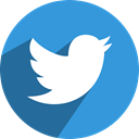 media, network, Social, Letter, bird, twit, twitter DodgerBlue icon