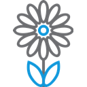 decoration, garden, blossom, plant, Flower DimGray icon