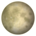 Moon LemonChiffon icon