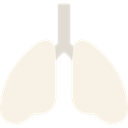 Lung, organ, medical, Lungs, Breath, Anatomy Linen icon