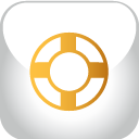 Designfloat Silver icon