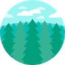 Tree, landscape, spruce, nature, Pine DarkCyan icon