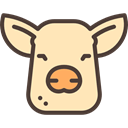 Frontal View, Animal, head, Animals, Face, pig Moccasin icon