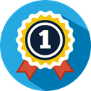 medal, Certification, Quality, winner, award DodgerBlue icon