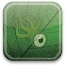 Squidoo, green, eco DarkSlateGray icon