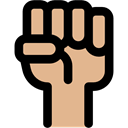 Fist, Hand Gesture, Gestures, protest, Fists BurlyWood icon