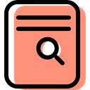 education, File, interface, Archive, search, document, documents, paper LightSalmon icon