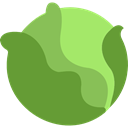 vegetarian, Cabbage, food, Cucumbers, Fruit, Healthy Food, organic, diet OliveDrab icon
