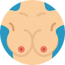 Female, Human Body, woman, Bust, Breast, Body Parts, Anatomy NavajoWhite icon